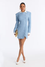 Taryn Long Sleeve Tweed Mini Dress - Black