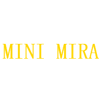 MINI MIRA LTD